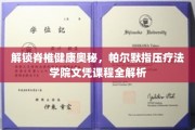 帕尔默指压奥秘探秘，脊椎健康新篇章，文凭课程深度解读