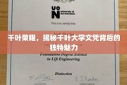 千叶大学文凭，探索其独领风骚的教育魅力