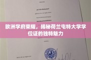 荷兰屯特大学学位证，探寻欧洲教育瑰宝的独特风采