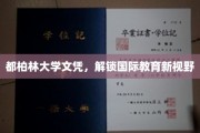 都柏林大学文凭，开启全球视野之门