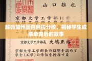 解码圣芭芭拉，一探加州分校成绩单背后的秘密世界