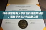 埃塞克斯大学揭秘，揭秘学术卓越背后的成绩单奥秘
