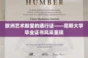尼斯大学荣耀凭证，探寻欧洲艺术教育的通行证