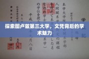 解锁图卢兹第三大学，学位背后的学术风采探秘