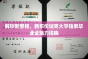 探索新境界，新布伦瑞克大学毕业证背后的非凡故事