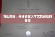 学历光环背后的真实轨迹，揭秘高校文凭背后的不为人知故事