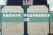东京艺术大学，学位证书映照下的艺术征途