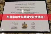 布鲁奈尔大学，揭秘荣耀凭证背后的传奇故事