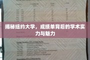 解码纽约，揭开成绩单下的学术盛宴与魅力之光