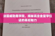 解码法国威勒商学院，高含金量学位证的独特吸引力