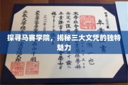 马赛学院文凭探秘，三大文凭背后的非凡吸引力