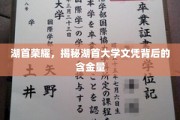 湖首大学文凭价值解析，揭秘学历背后的非凡实力
