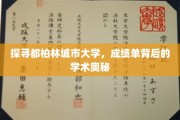 解锁都柏林城市大学，成绩单背后的学术秘境