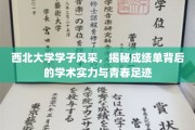 西北骄子逐梦足迹，揭秘成绩单与青春篇章的交织传奇