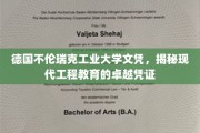 解锁工程精英之路，德国不伦瑞克工业大学文凭背后的卓越魅力