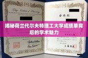解码荷兰代尔夫特理工，成绩单里的学术风采与智慧火花
