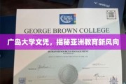 广岛大学文凭引领，亚洲教育新潮流趋势解析