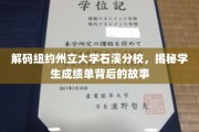 石溪分校揭秘，揭开学生成绩单的神秘面纱