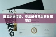 威廉玛丽学院传奇，毕业证书见证的荣耀之光