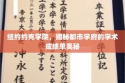 解码纽约约克学院，都市学府背后的学术实力揭秘