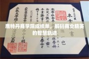 商界轨迹揭秘，鹿特丹商学院学霸们的智慧成长之路