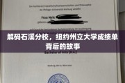 石溪分校揭秘，纽约州立大学成绩单背后的传奇篇章