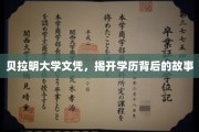 学历光环下的贝拉明，揭秘背后的真实历程