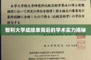 解码智利大学成绩单，探寻学术实力的秘密之门
