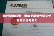 探寻贝桑松大学文凭的国际吸引力，欧洲学术新星眼中的独特魅力